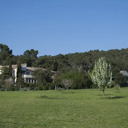 La Malcontenta