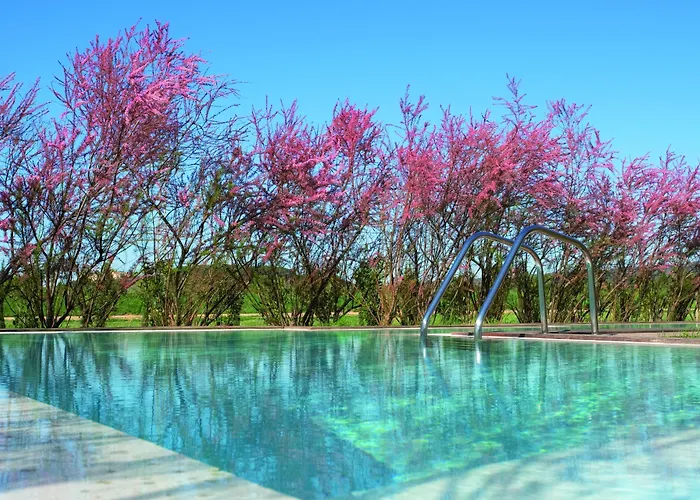 酒店 玛尔孔滕塔酒店 5*