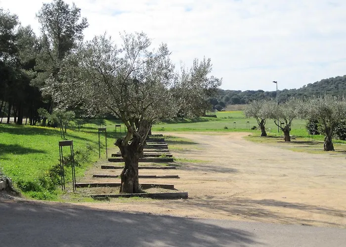 玛尔孔滕塔酒店 酒店 5*