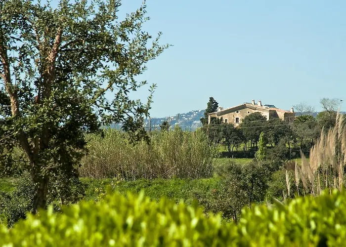 酒店 玛尔孔滕塔酒店 San Juan de Palamos